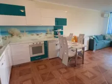 Miniaturka