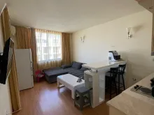 Miniaturka