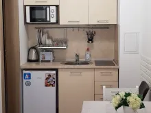 Miniaturka