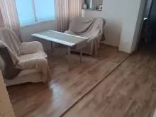 Miniaturka
