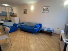 Miniaturka