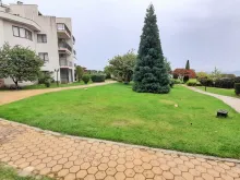 Widok na trawnik i morze