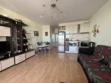 Miniaturka