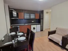 Miniaturka