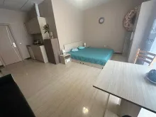 Miniaturka