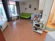 Miniaturka