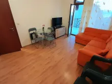Miniaturka