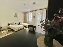 Miniaturka