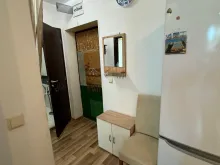 Miniaturka