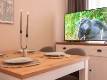 Telewizor