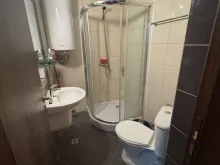 Miniaturka