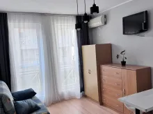 Miniaturka