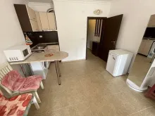 Miniaturka