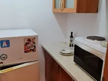 Miniaturka