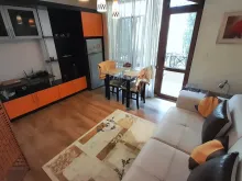 Miniaturka