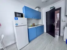 Miniaturka