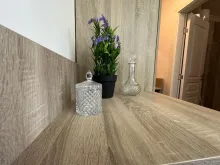 Miniaturka