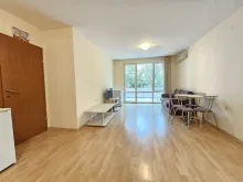 Miniaturka