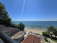 Miniaturka
