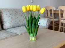 Miniaturka