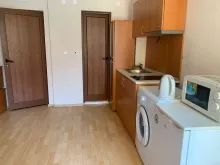 Amadeus 11 | Kawalerka nad morzem