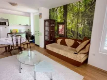 Sineva Del Sol | Dwupokojowe mieszkanie: Salon, kuchnia