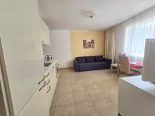 Miniaturka