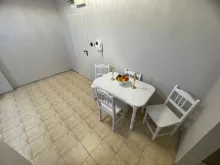 Miniaturka