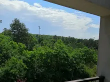 widok na las z tarasu