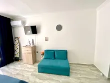 Miniaturka