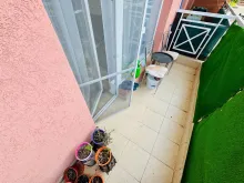 Miniaturka