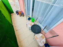 Miniaturka
