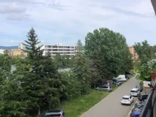 Miniaturka