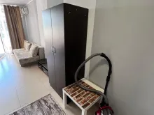 Miniaturka