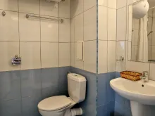 Miniaturka