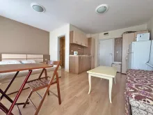 Miniaturka