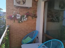 Miniaturka