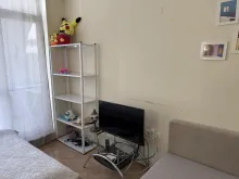 Telewizja