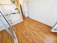 Miniaturka