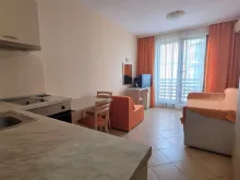 Miniaturka