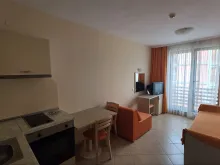 Miniaturka