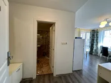 Miniaturka