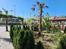 kompleks, teren, basen