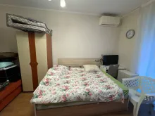 Venera Palace | Studio z podziałem na strefy: kuchnia, salon i sypialnia