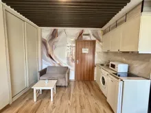 Miniaturka
