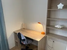 Miniaturka