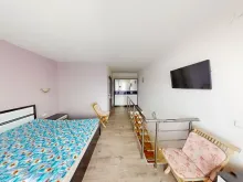 Miniaturka
