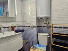 Miniaturka