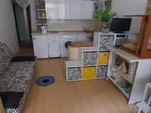 Miniaturka