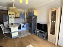 Miniaturka